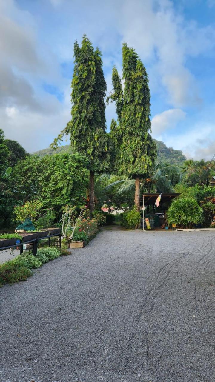Green Self-Catering Apartment Beau Vallon  Exterior photo